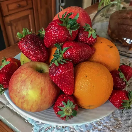 فندق مبيت وإفطار Cusano